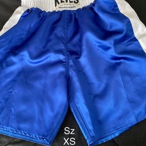 Kid’s Professional Satin Boxing Shorts